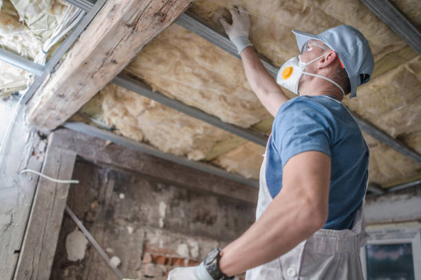 Best Geographic-Specific Insulation Services in Johnston City, IL