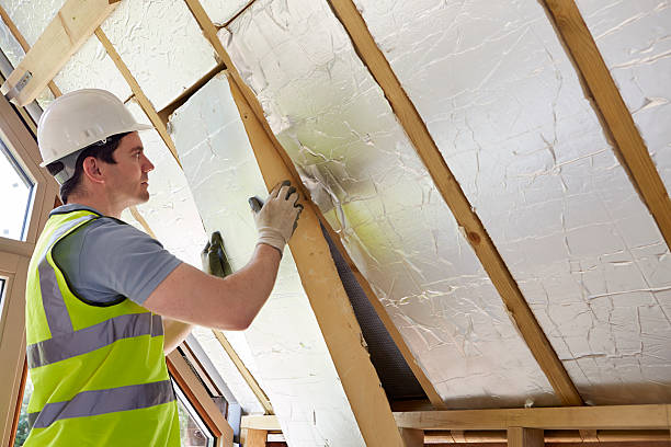 Best Eco-Friendly Insulation in Johnston City, IL